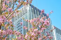 Novotel Guiyang Panjiang Hôtels à : Guiyang