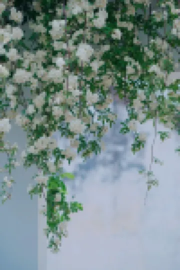 Rixie Linxi Guesthouse