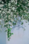 Rixie Linxi Guesthouse Hotels in Changshu
