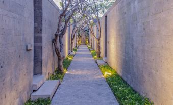 Domisili Villa Canggu Bali By Fays Hospitality