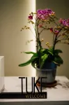 TUKE LIGHT HOTEL - نادي رياضي