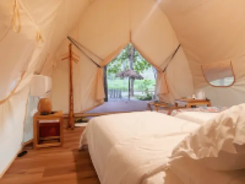 Wutong Forest Campground