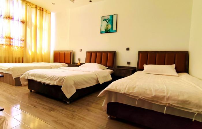 Chabuchar Qingyaxuan Homestay