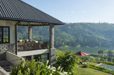 Camellia Hills