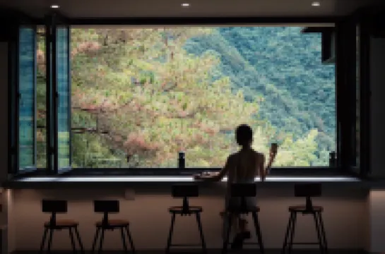 Zhi Yue·Bamboo Grove | Anji Private Hot Spring Designer Boutique Accommodation