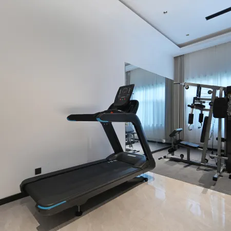 Vienna Hotel Linqing Canal Culture Plaza Store