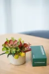GreenTree Inn Henan Puyang Ruifengyuan Business Hotel Hotels in Puyang County
