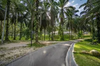 Sementra Hot Spring Nature Resort - วิว