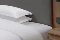 Holiday Inn Express Chongqing Central Park by IHG Các khách sạn ở Trùng Khánh