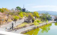 โรงแรมเท็นปิโย นารามาจิ - วิว