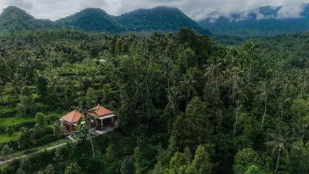 The Sekumpul Villa Отели рядом с достопримечательностью «Git Git Wsterfall»