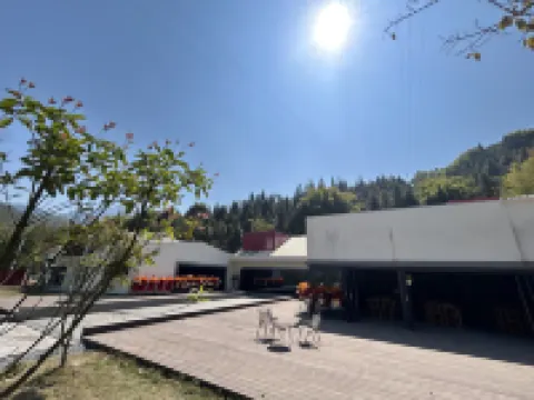 雲鯉禪養民宿（金佛山店）