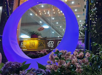 連州欣凱盈假日飯店