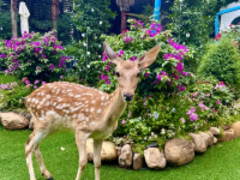 พูลแมน กุ้ยหยาง โรงแรมในกุ้ยหยาง