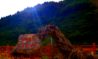 Daoyu Xingjianggou Hot Spring Hotel