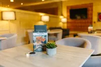 Abba Fonseca - Fitnessstudio