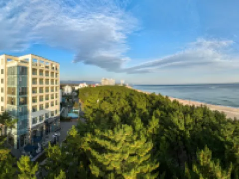 Hound The Blue Hotels in Gangneung-si