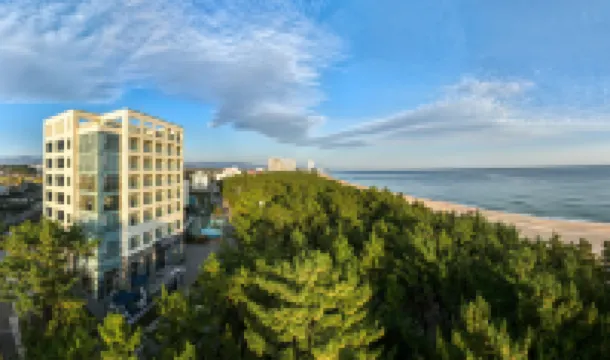 Hound The Blue Hotels in Gangneung-si