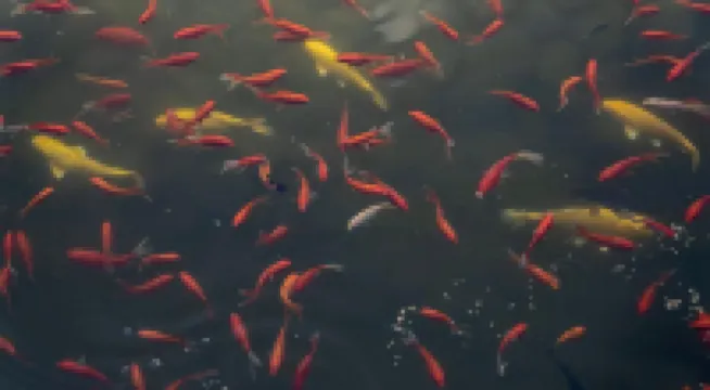 Liyang Daibu Runhe Homestay