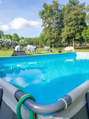 รูปภาพของภูไพร ธารน้ำ รีสอร์ท