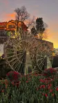 Yixiangqing Inn (Lijiang Old Town) - 로맨틱