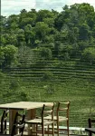 Eterna Venue Resort Jingmai - breakfast