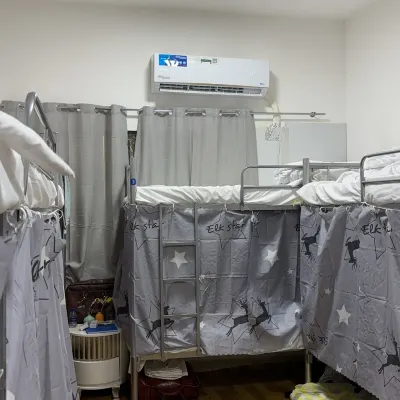 Happy Camel Hostel Hotels near Palm Deira