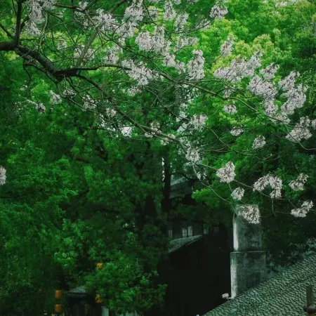 Meihuazhou Qilin N&S Courtyard, Jiaxing