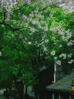 Meihuazhou Qilin N&S Courtyard, Jiaxing