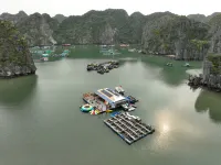 Cat Ba Fishing Village Bay House