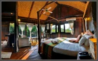 Tree House Hideaway - Homestays