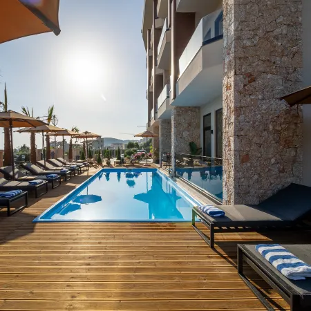 Hotel Potami