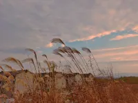 Xinglin Wanju·Courtyard Mountain Wild Starry Sky Leisure Holiday Meisu