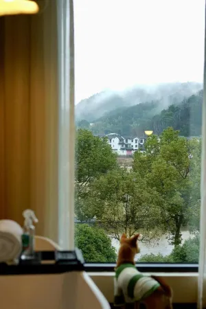 Xiaozhu Shiguang Nature Homestay (Sanbao Jingdezhen) Отели рядом с достопримечательностью «Jingdezhen Ceramics University College of Science and Technology Art»