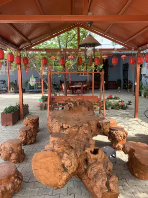 cocodalalvshanyuan