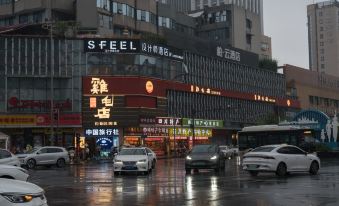5. SFEEL 서지..
