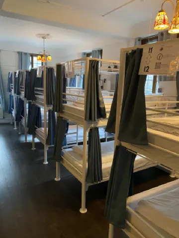 The Walrus Bar and Hostel