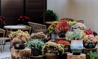 Hai Qianxun Boutique Resort & Hotel (Tiger Stone Seaside Park, Beidaihe)