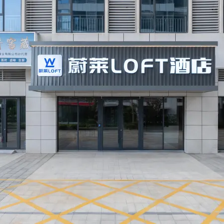 Weilai LOFT Hotel (Zhoukou High-speed Rail East Station)