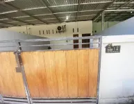 Private Room in Guest House Near Legian Beach Bali 登巴薩住宿飯店