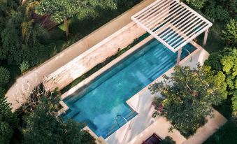 Springwoods Club Palm Tree Hotel