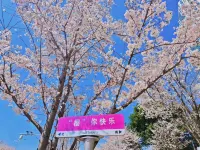 ANDZO·安嶼洲酒店（貴陽觀山湖公園林城西路地鐵站店） - 浪漫/情侶