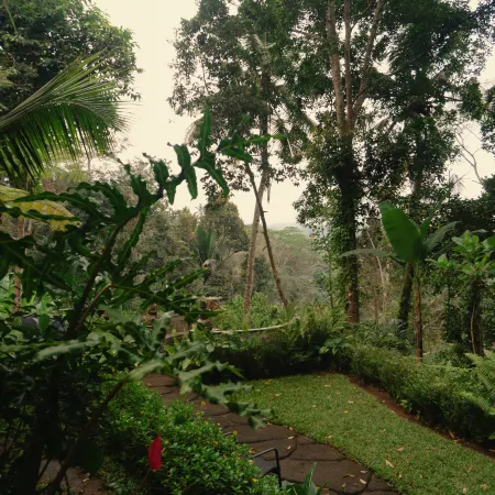 Delta Casa Ubud - A-Frame Jungle Retreat
