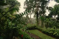 Delta Casa Ubud - A-Frame Jungle Retreat - 山景