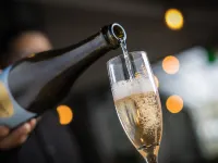 The Angus Hotel Hotels in Lower Hutt