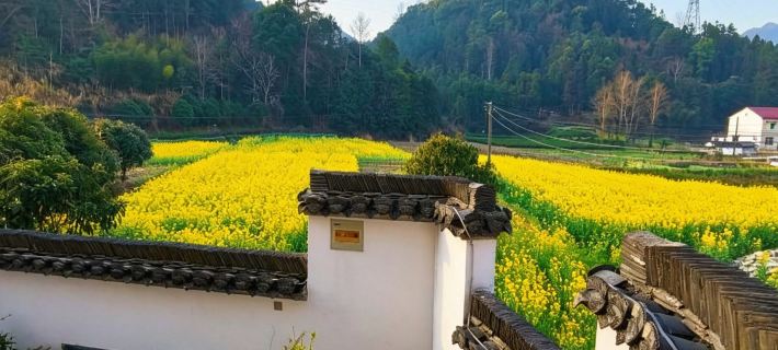 Banlianshanju Homestay (Shitai County Dayan Township) Hotels in Shitai