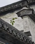 Jixi Licheng Huating Hotel - Mountain view