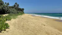 Samadhi Ocean Inn & Spa - Beach