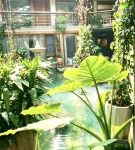 Dianjun Hotel Hotels in O-Park
