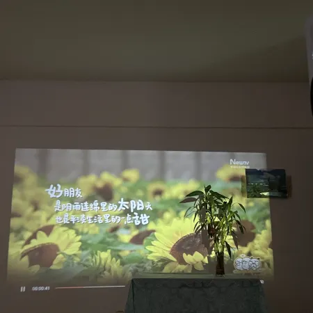 Zhangpu Warm Cottage Cinema-Style Homestay